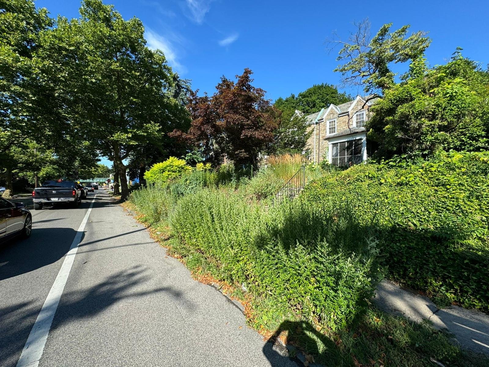 Yard cleanup work by Green Force Property Services